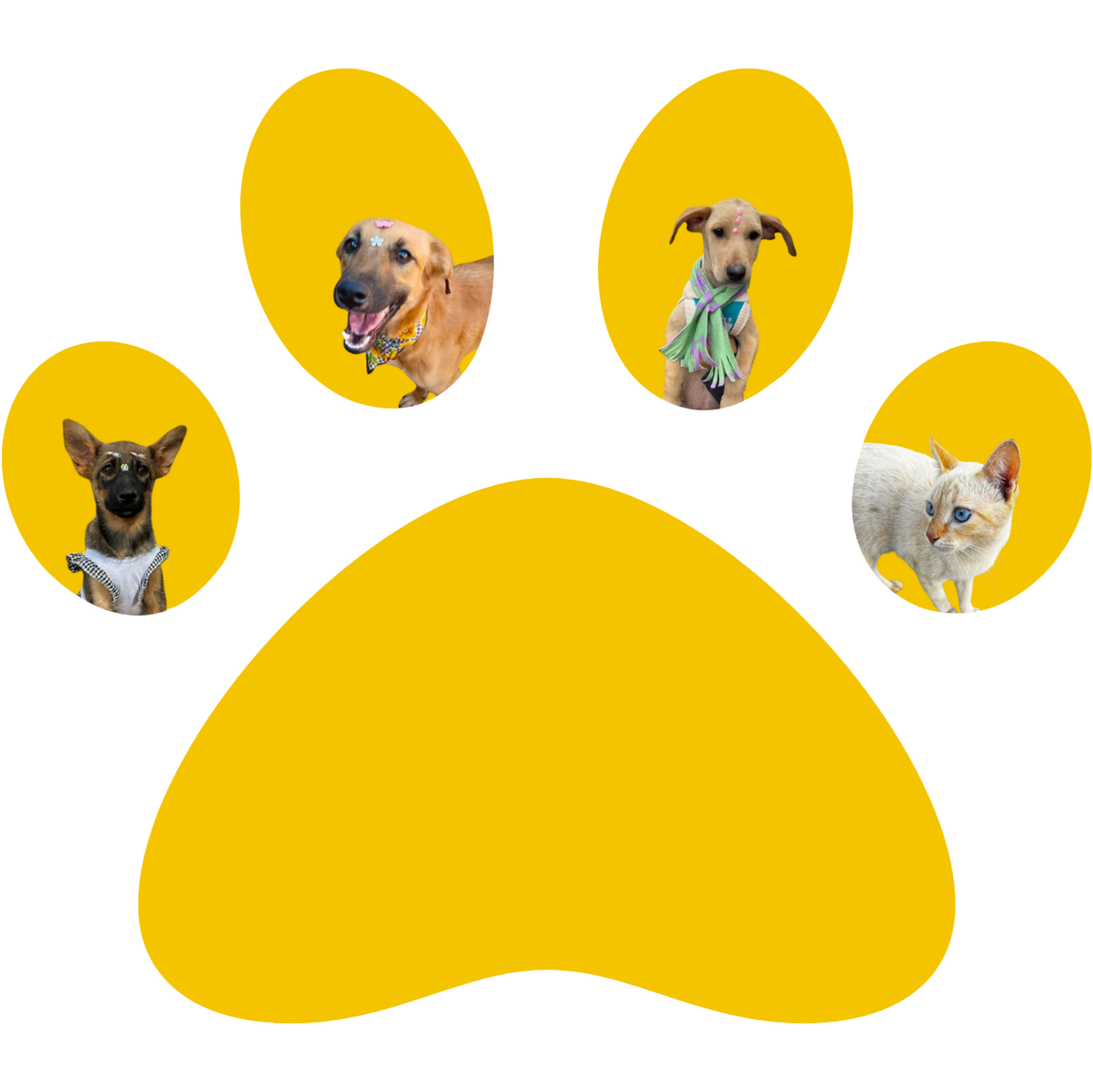 Animais dentro de uma pata amarela